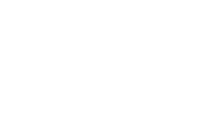 logo Camino Real