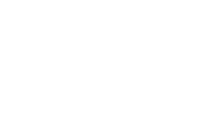 Logo Coca-Cola