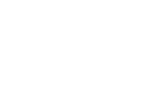 Logo EFE