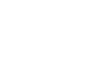 Logo Seguridad Social